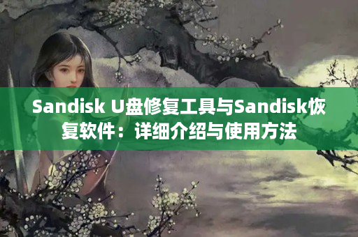 Sandisk U盘修复工具与Sandisk恢复软件：详细介绍与使用方法
